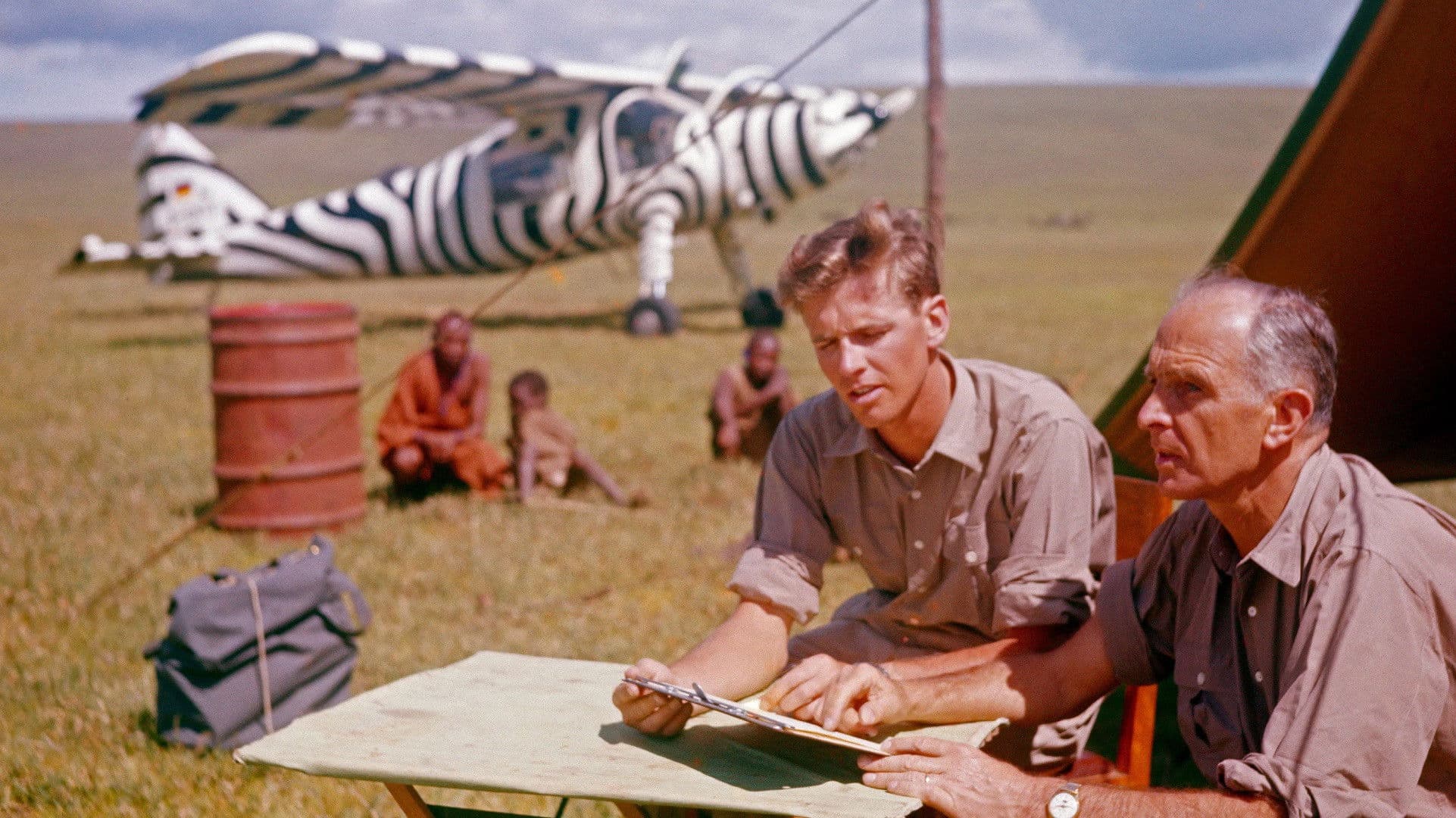 No Place for Wild Animals