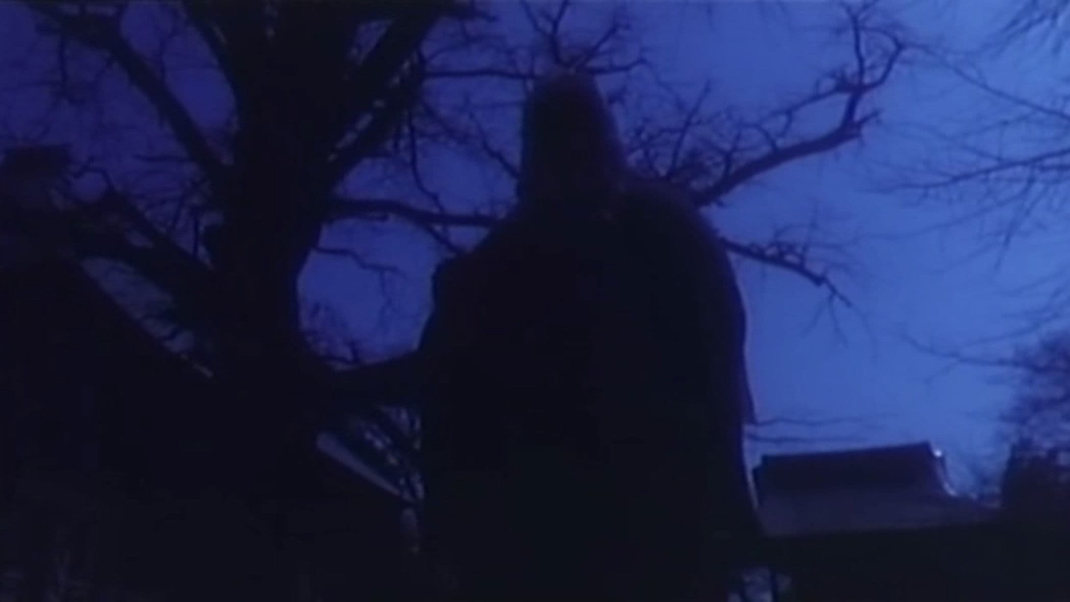 Eizu o buttobase: Momoiro puttsun musume