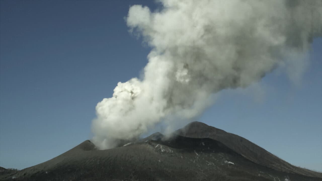 Survivre aux catastrophes, les stratégies de la nature