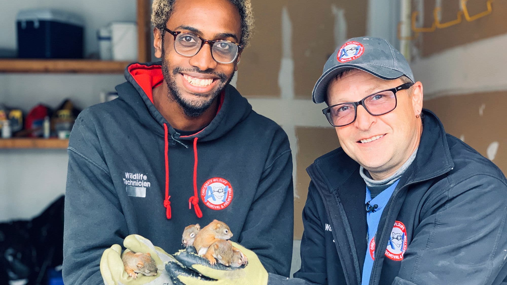 Louis and the Urban Jungle