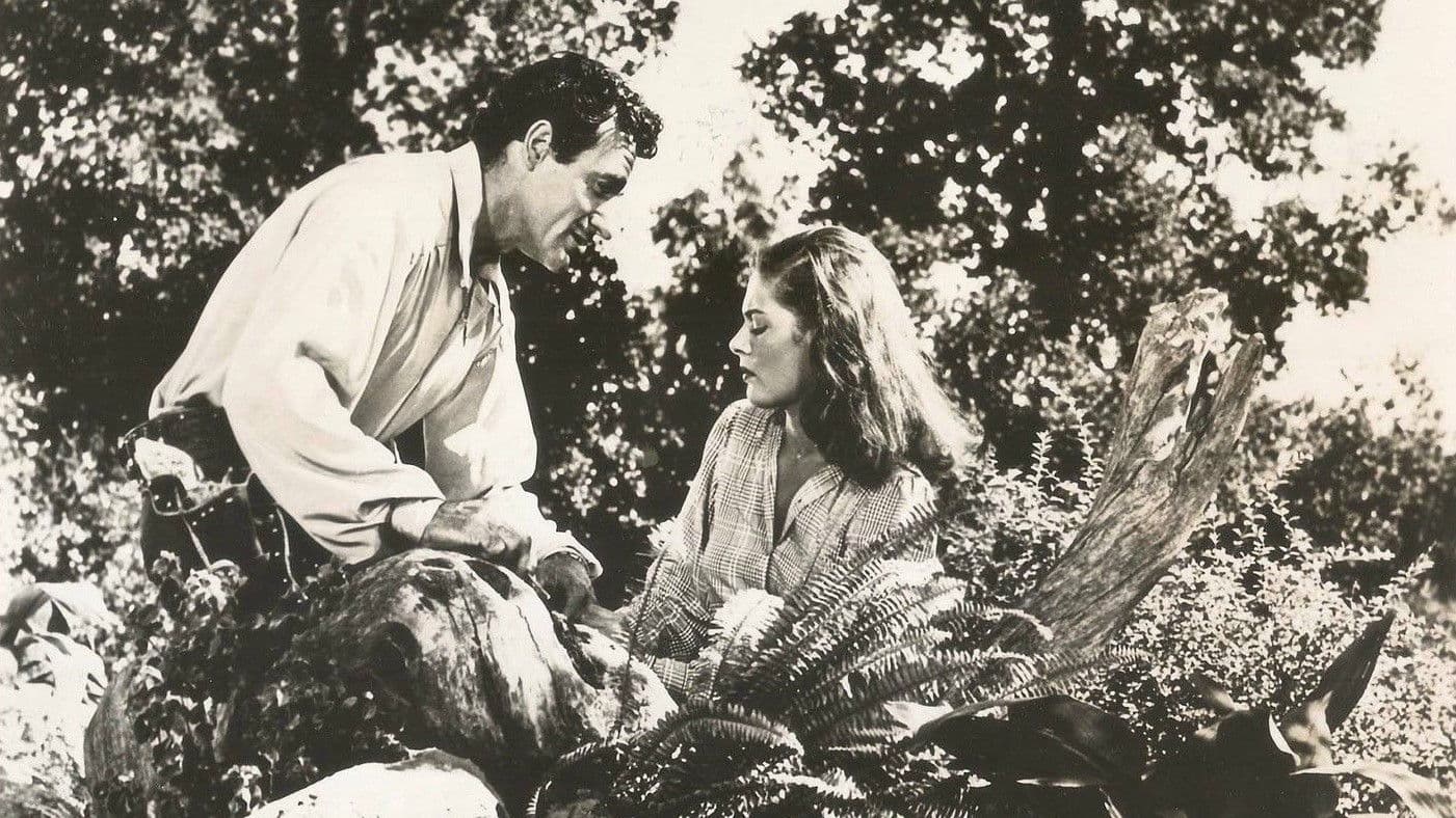 Beauty and the Bandit