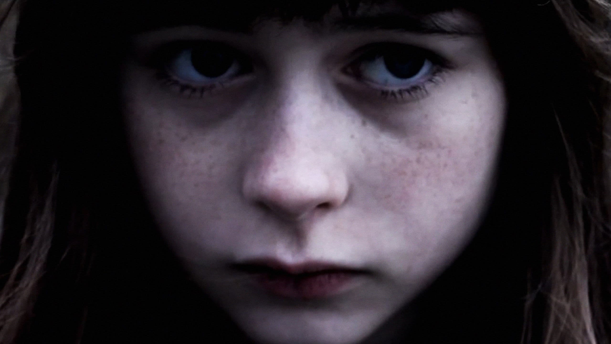 Pigeons Should Fly Freely In the Sky