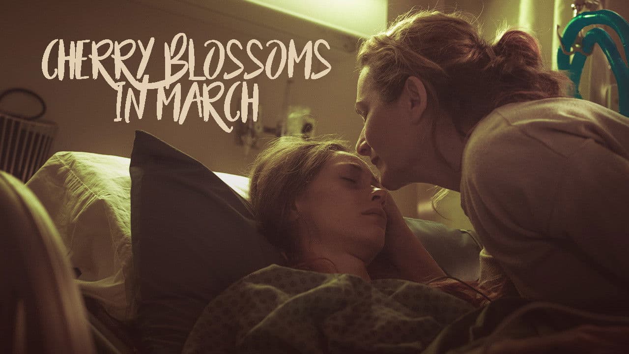 Cherry Blossoms in March