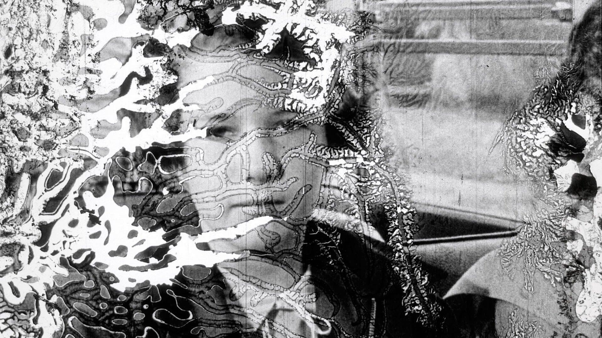 Decasia: The State of Decay