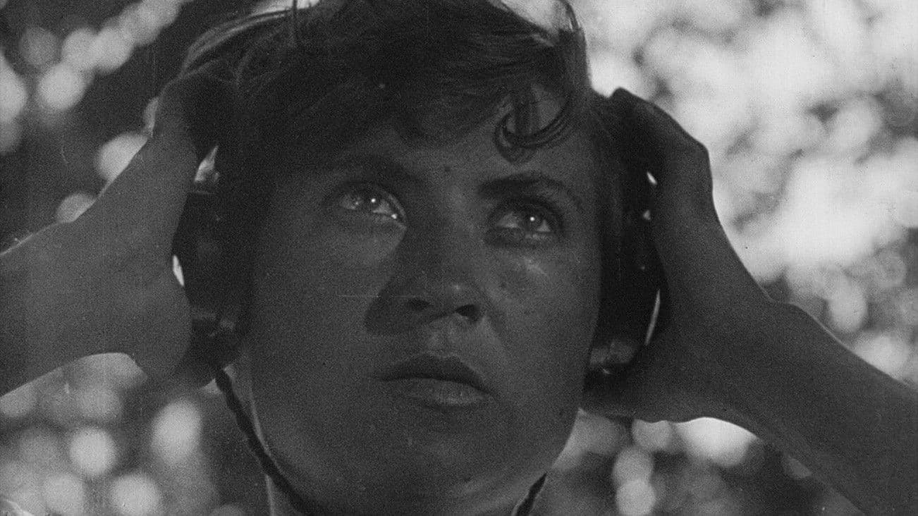 Enthusiasm. Symphony of Donbas