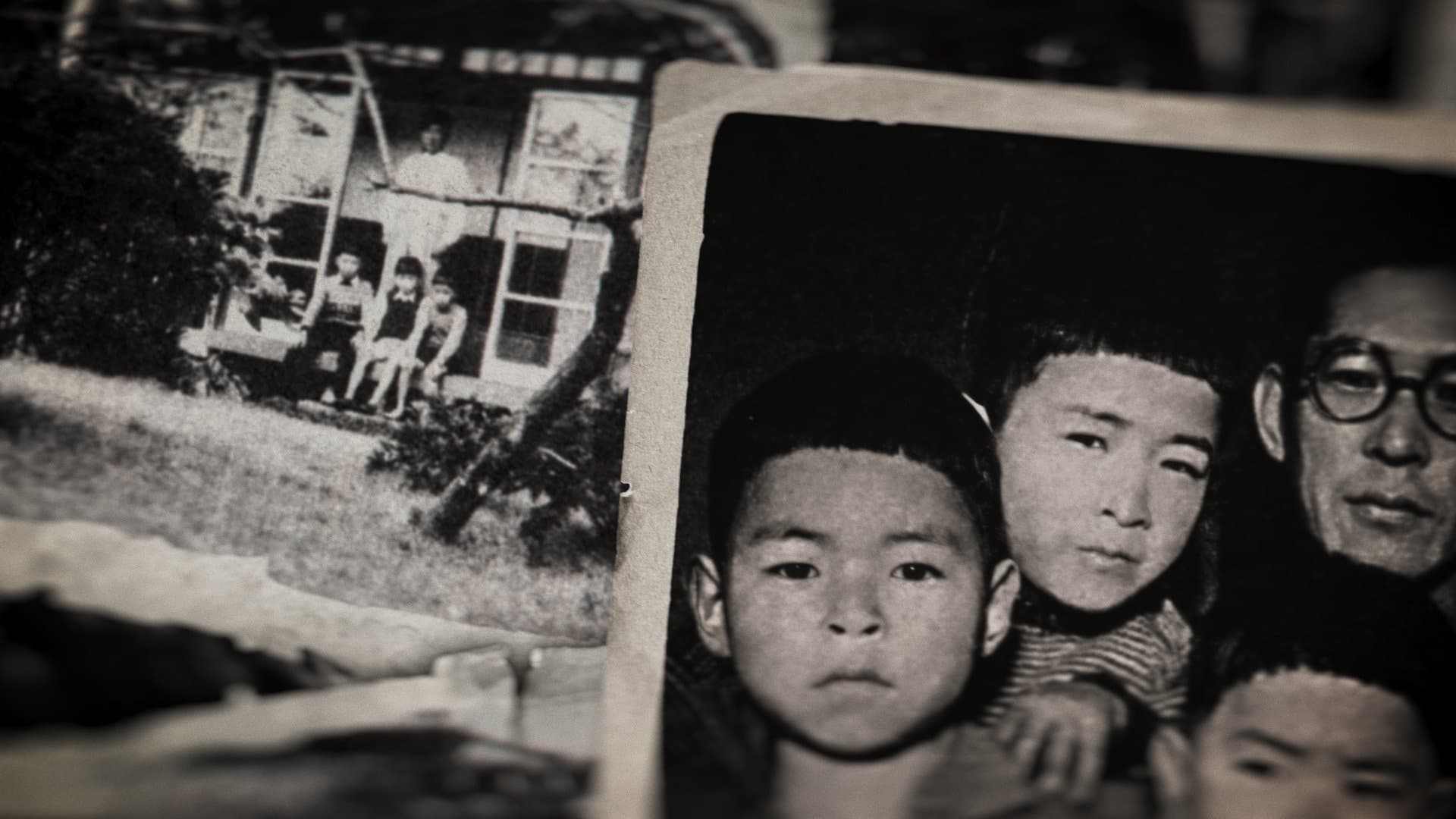 Miyazaki, Spirit of Nature