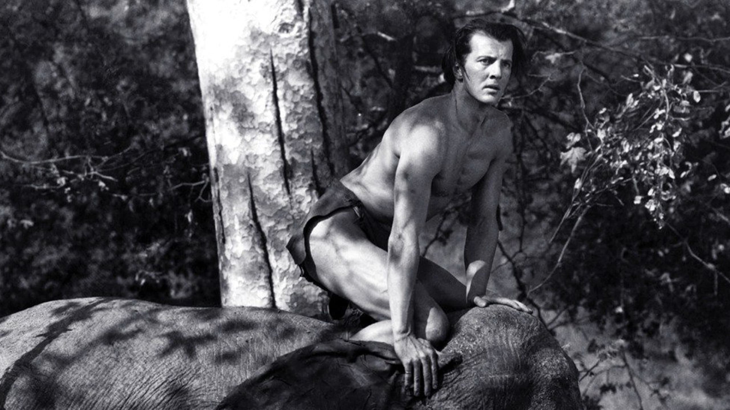 Tarzan and the Green Goddess