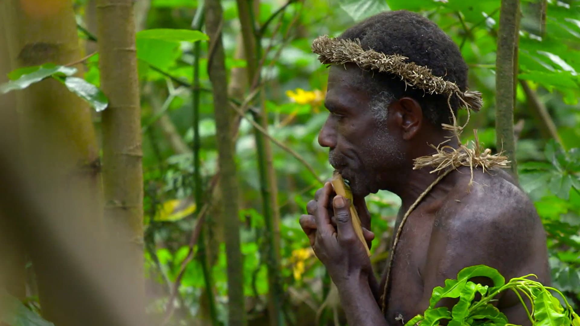 사운드 오브 뮤직: 음악의 탄생