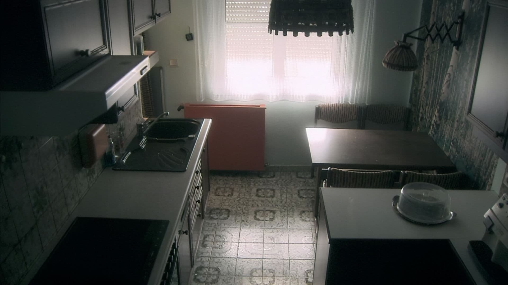 Natascha Kampusch: The Girl in the Cellar