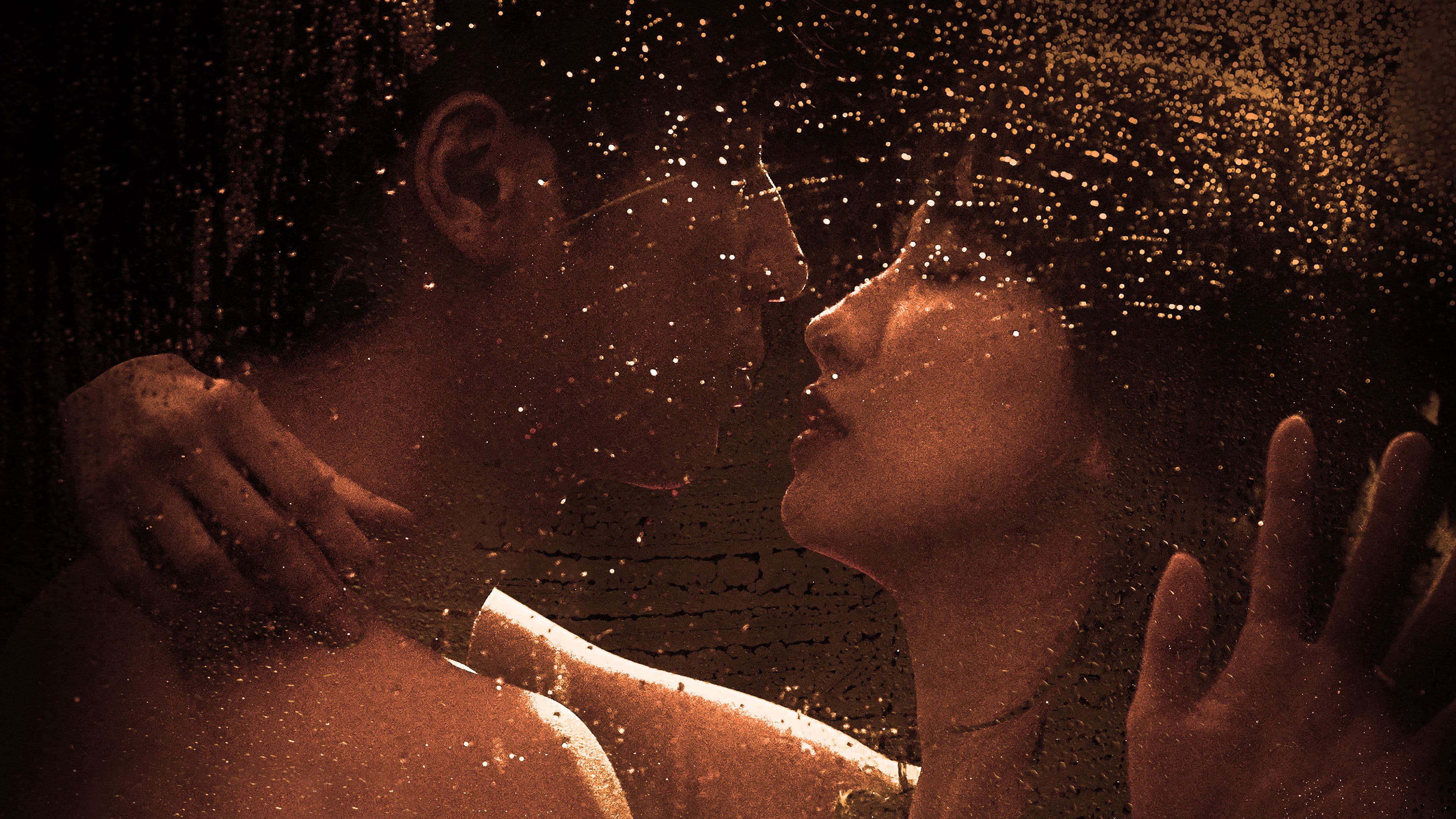 Love Affair In The Afternoon