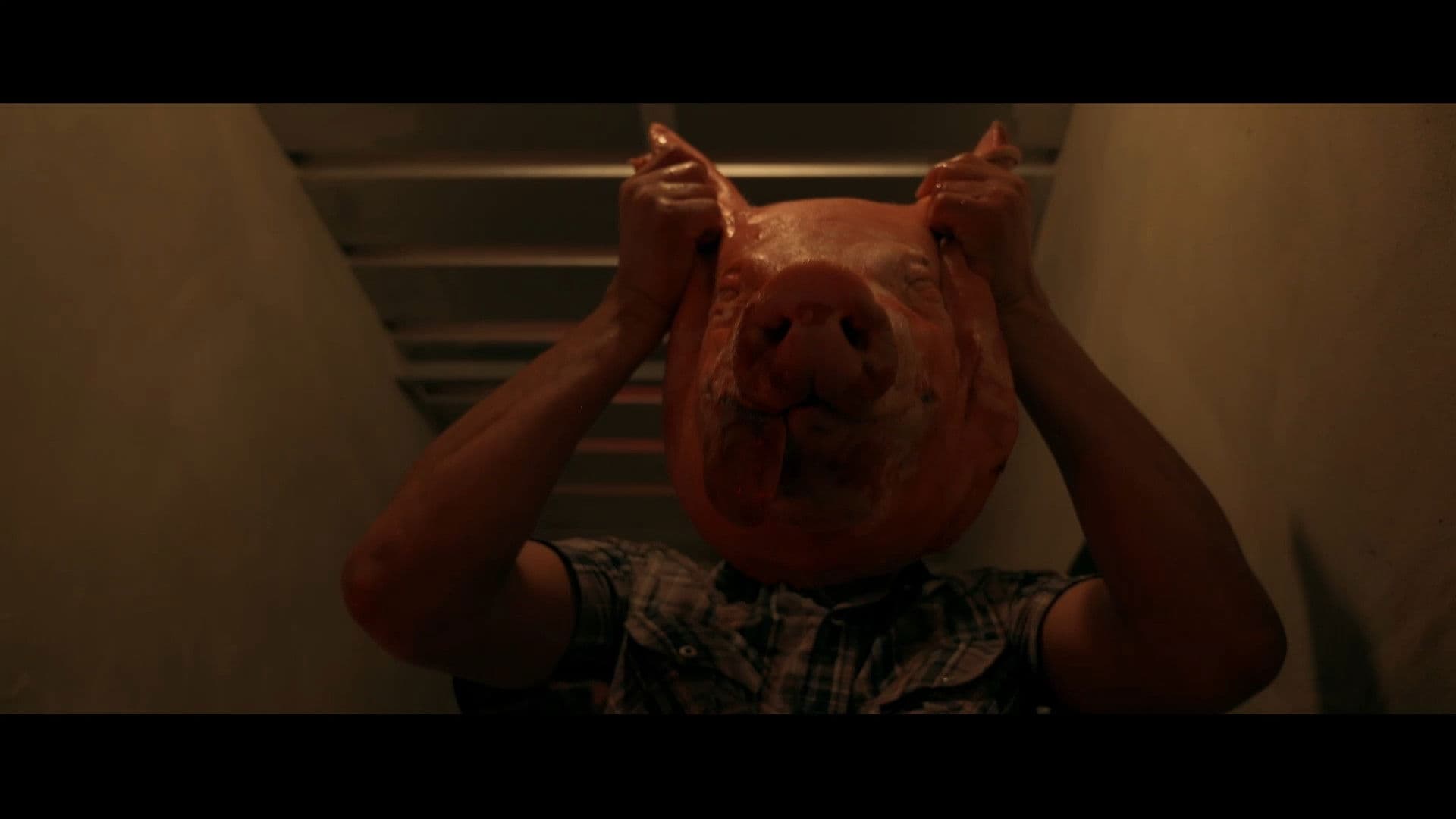 200 LITERS OF PIGSTY WATER