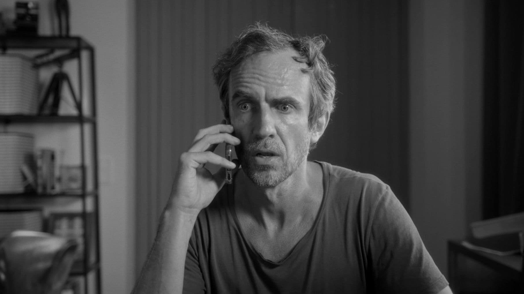 Der Katze ist das alles egal.