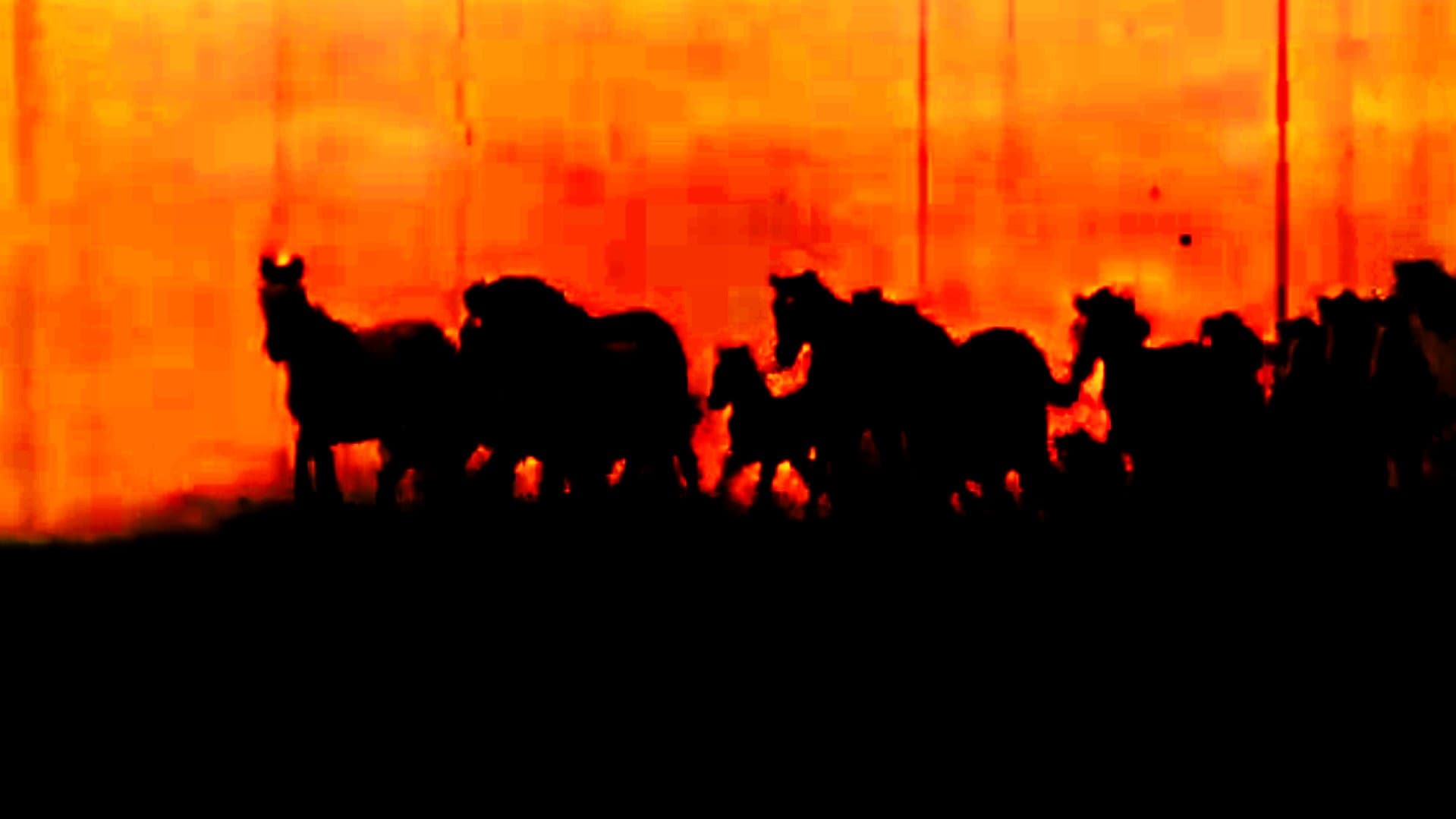 Naughty America: Guns & Stripes