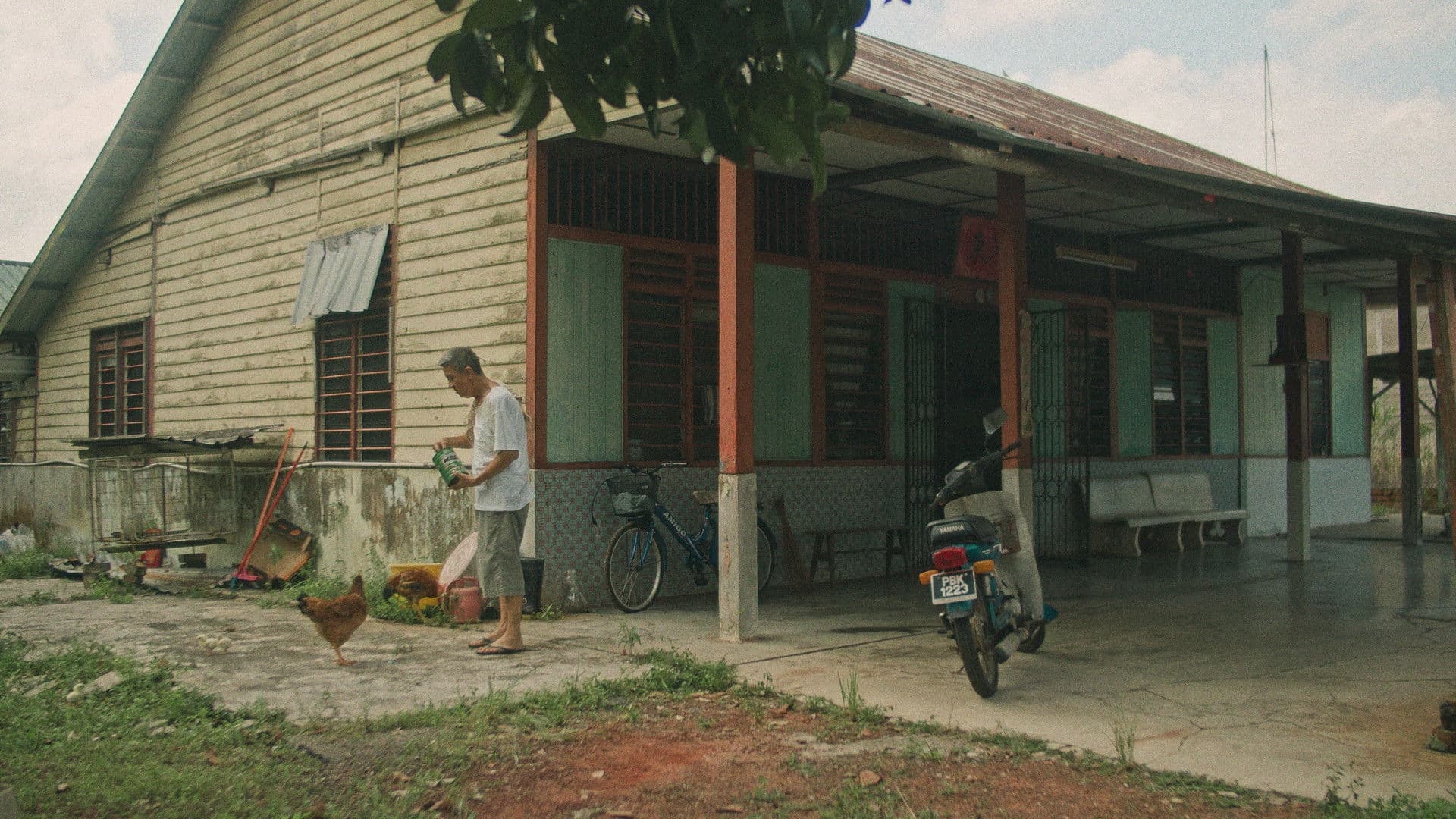 The Manggis in Ah Gong's Hands