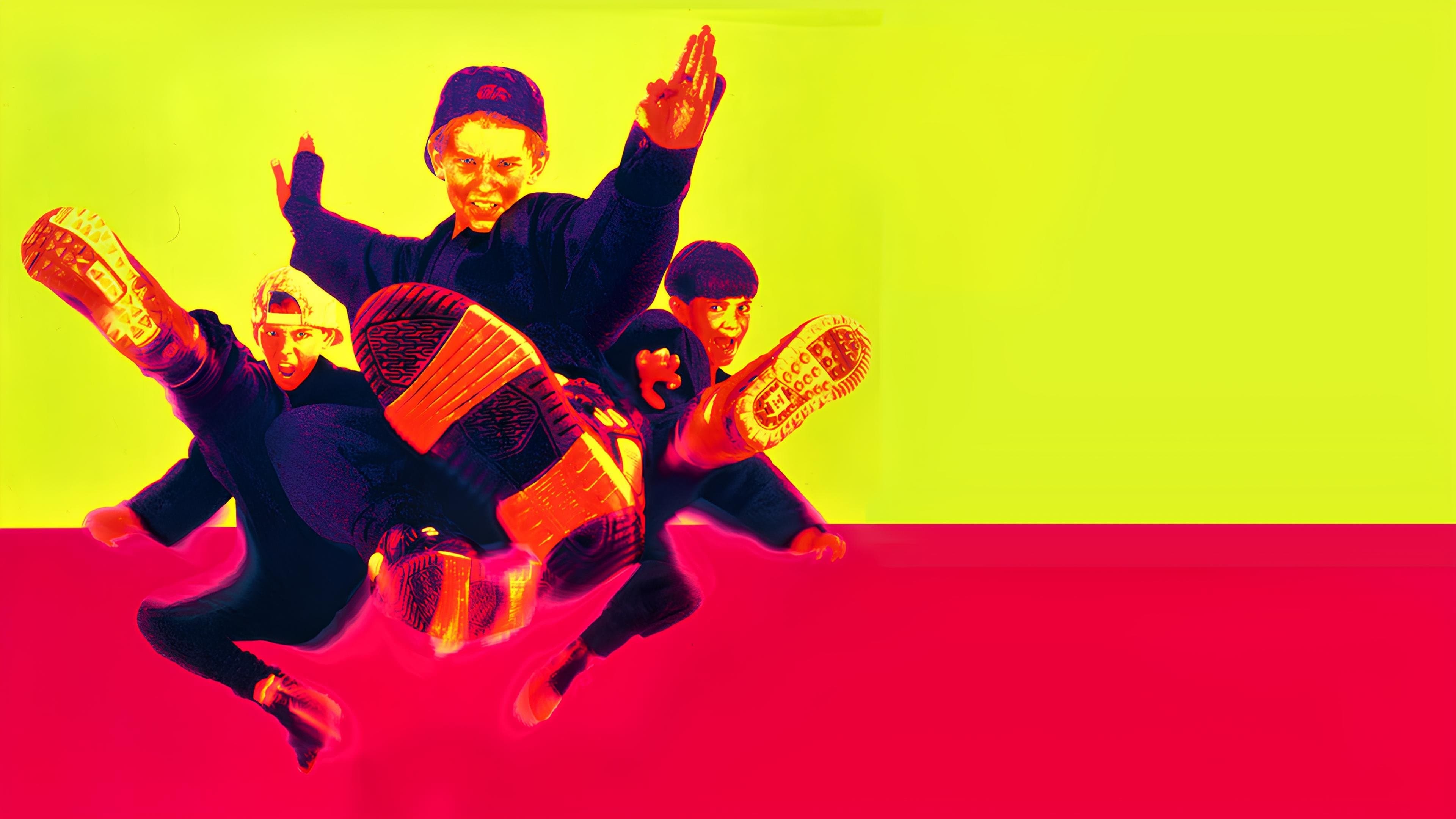 3 Ninjas