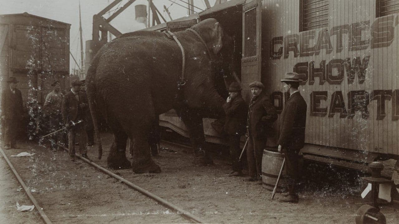 The Tragic Story of Fritz the Elephant