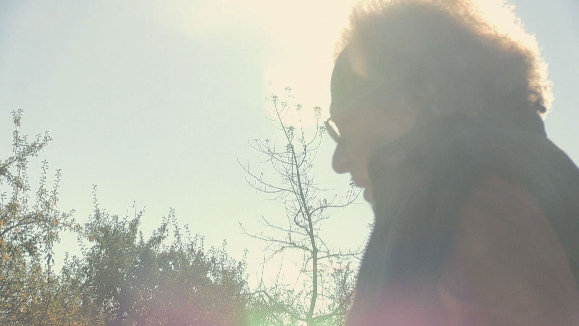 W. - What Remains of the Lie