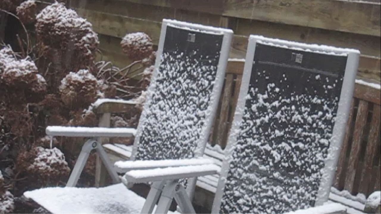 Winter Video