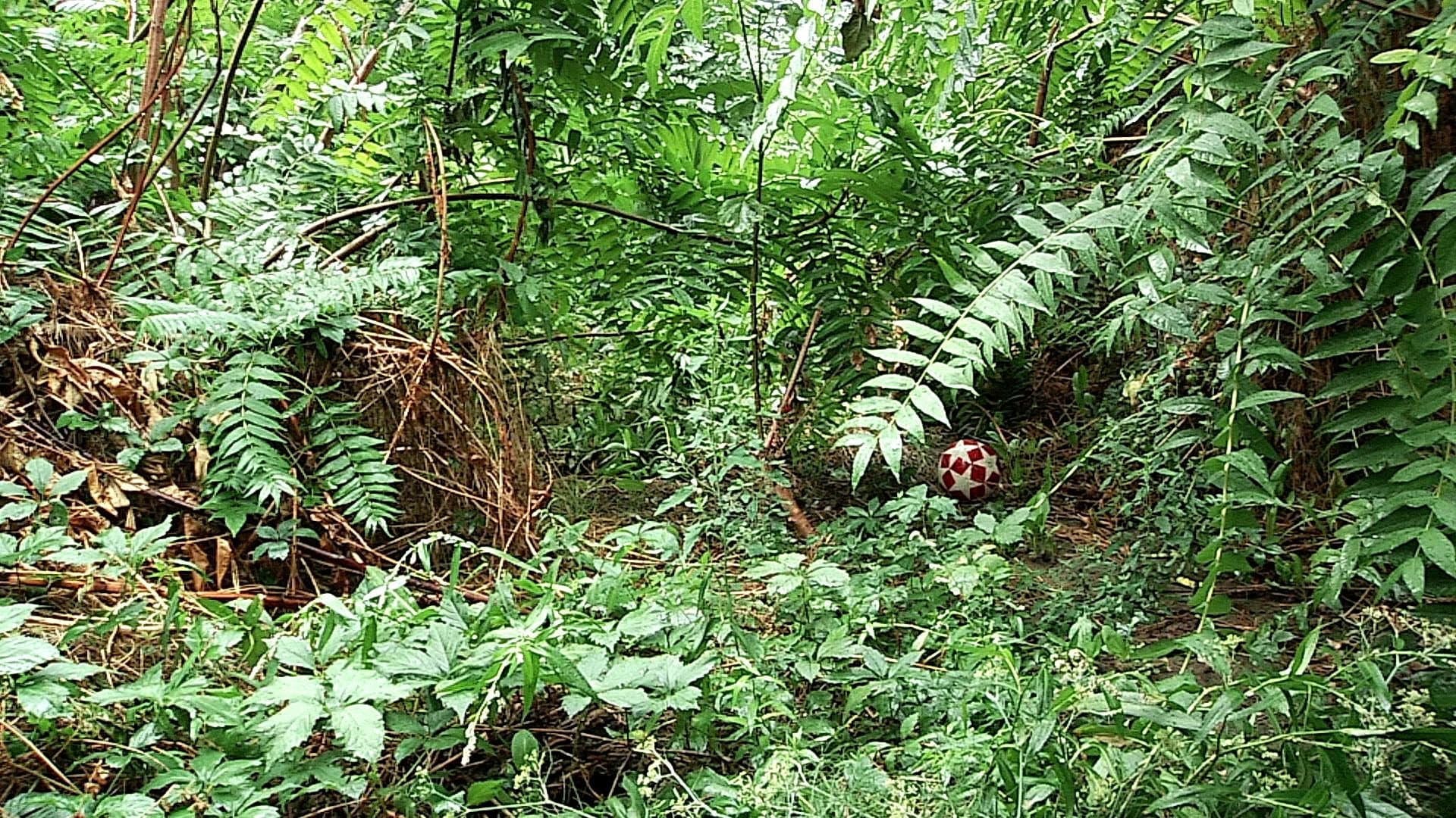 Three Streams