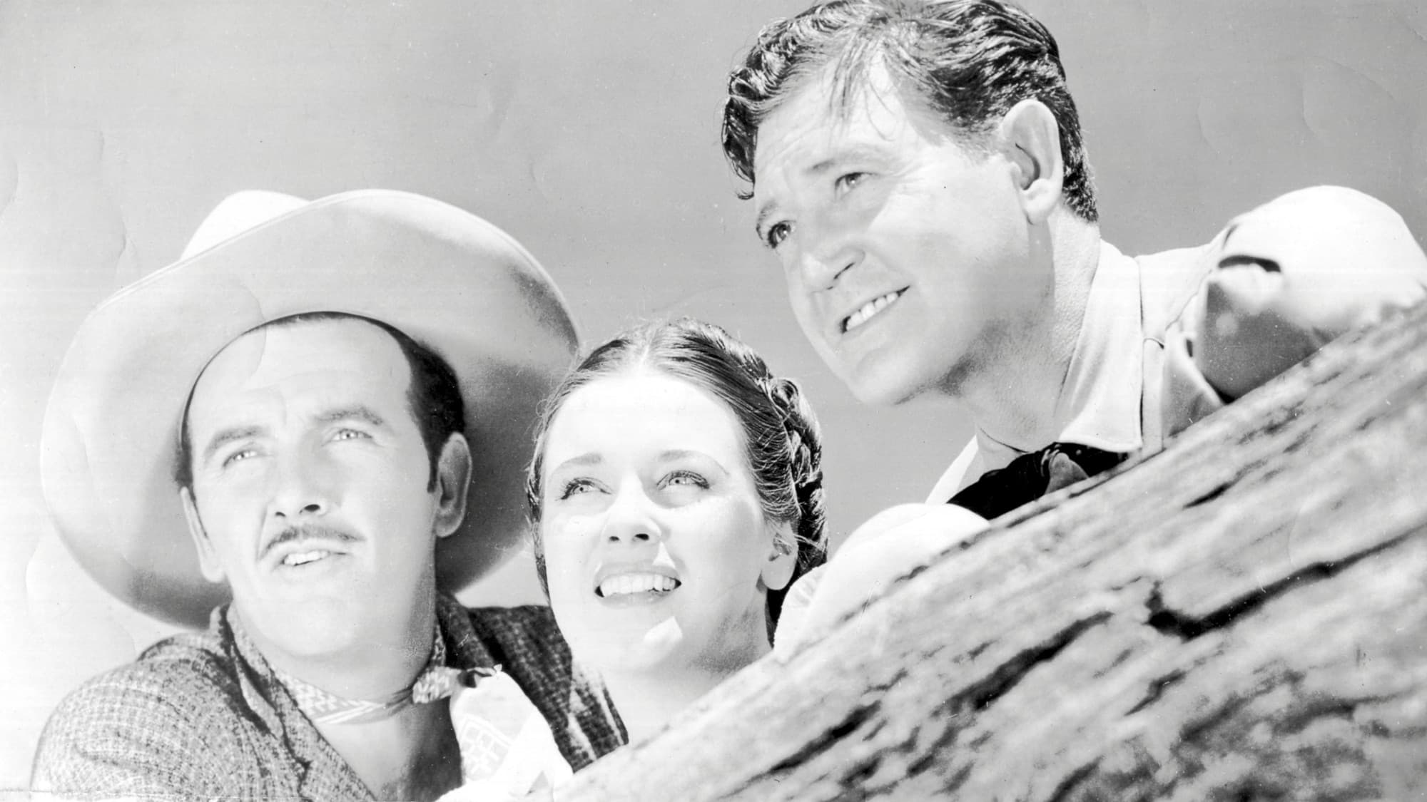 The Roundup