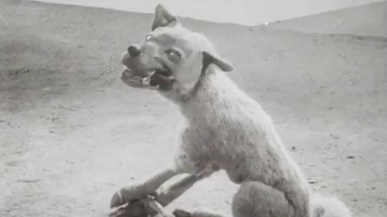 The Wolf and the Crane