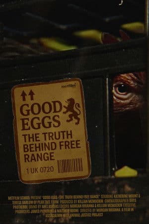 Good Eggs
