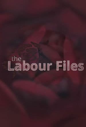 The Labour Files