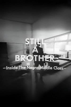 Still A Brother: Inside the Negro Middle Class
