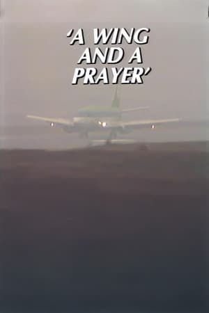A Wing and a Prayer – The Story of Knock Airport