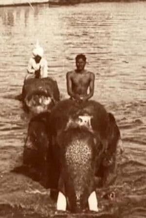 Edward Prince of Wales' Tour of India: Indore, Bhopal, Gwalior and Delhi