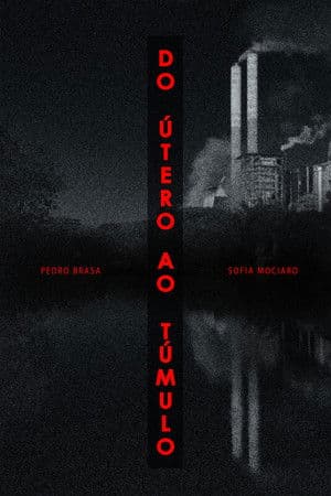 Do Útero Ao Túmulo