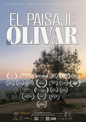 El paisaje del olivar