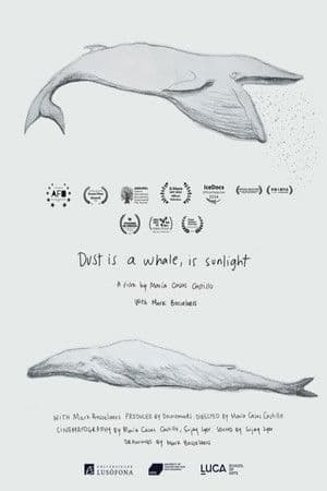Dust is a Whale, is Sunlight