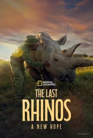 The Last Rhinos: A New Hope