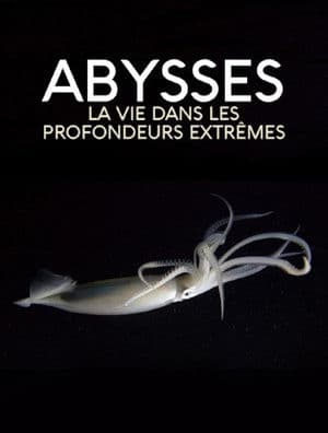 Extreme der Tiefsee - Abysses