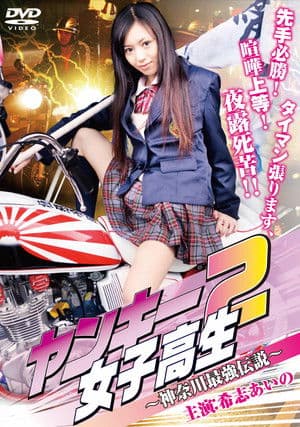 Yankee High School Girl 2 ~Kanagawa Legend~