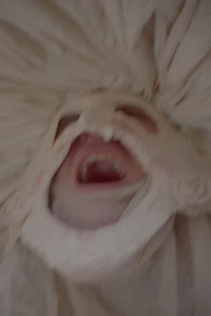 Le Roman de Remort, ou les fabliaux inhumains & vilains de l'Ultime Carnaval