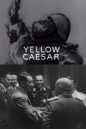 Yellow Caesar