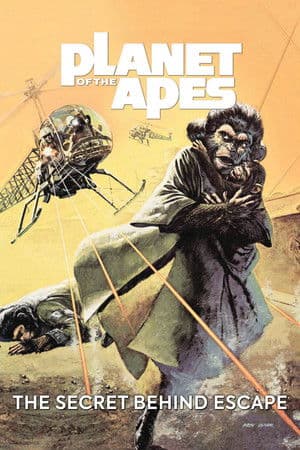 The Secret Behind Escape