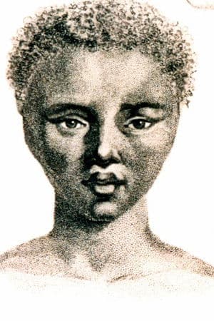 The Life and Times of Sara Baartman