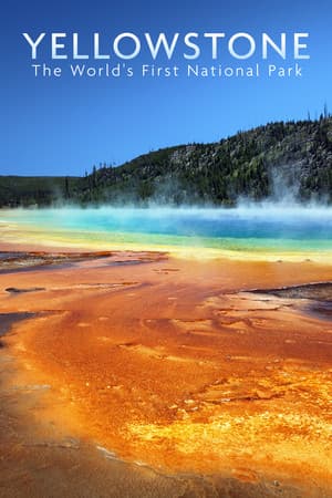 National Parks Exploration Series: Yellowstone