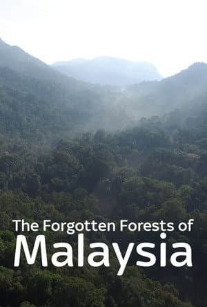 The Forgotten Forests of Malaysia