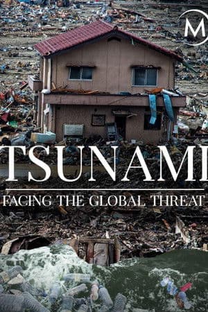 Tsunamis: Facing a Global Threat