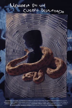 Memory of a Displaced Body