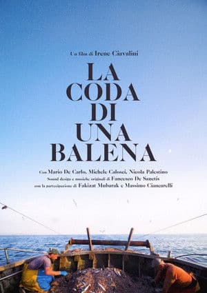 La coda di una Balena