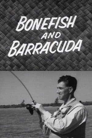 Bonefish and Barracuda