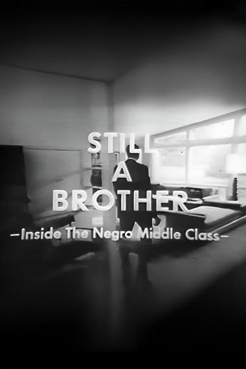 Still A Brother: Inside the Negro Middle Class
