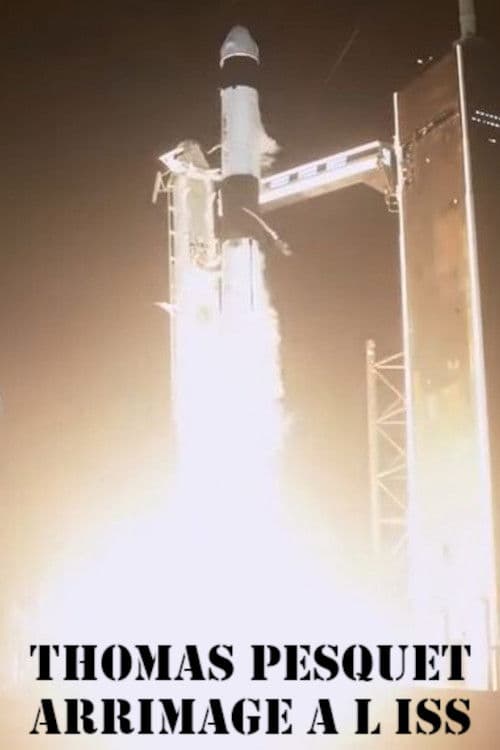 Thomas Pesquet, arrimage à l'ISS