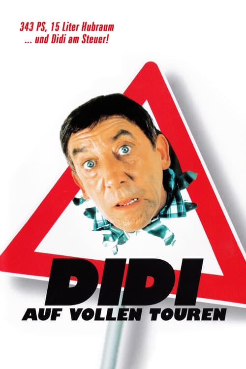 Didi Drives Me Crazy