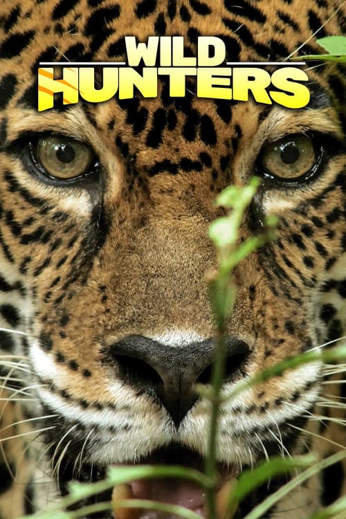 Wild Hunters